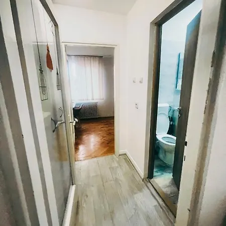 Apartment Ultracentral Big - Near The Opera Square P17 Timisoara